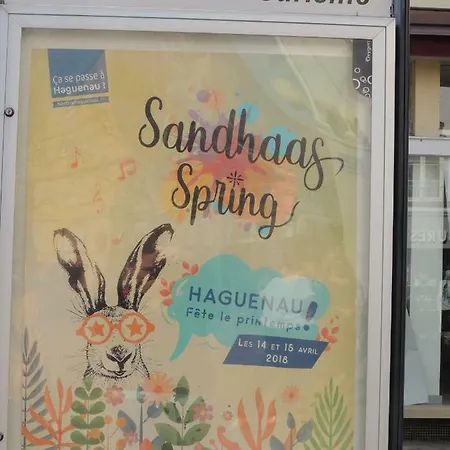 Appartamento Appart'azur - Centre Grand'rue - Entiers Pour Voyageur Pro *