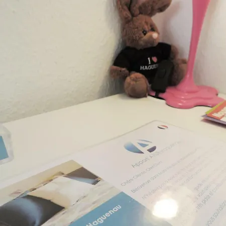 Appart'azur - Centre Grand'rue - Entiers Pour Voyageur Pro Appartamento Haguenau